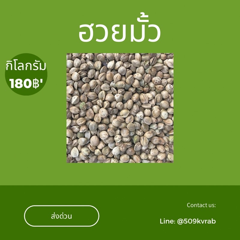 ฮวยมั้ว-อาหารนก-เป่าฝุ่น-พร้อมส่งด่วน