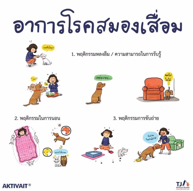 aktivait-อาหารเสริมบำรุงสมองและระบบประสาท-สำหรับสุนัขขนาดกลาง-ใหญ่-60-แคปซูล