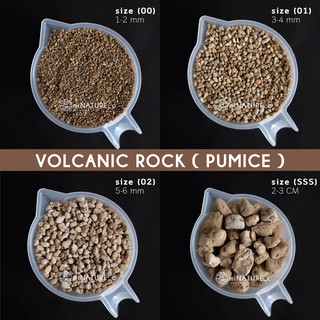 ภาพหน้าปกสินค้าหินภูเขาไฟ Volcanic Rock (pumice) ที่เกี่ยวข้อง