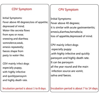 ภาพขนาดย่อของภาพหน้าปกสินค้าVenture Dog Canine ชุดทดสอบไวรัส CDV & Parvovirus CPV จากร้าน mengqiqidianshang.th บน Shopee ภาพที่ 4