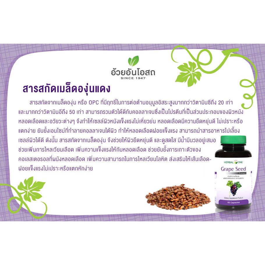 อ้วยอันโอสถ-grapeseed-extract-สารสกัดจากเมล็ดองุ่น-60เม็ด