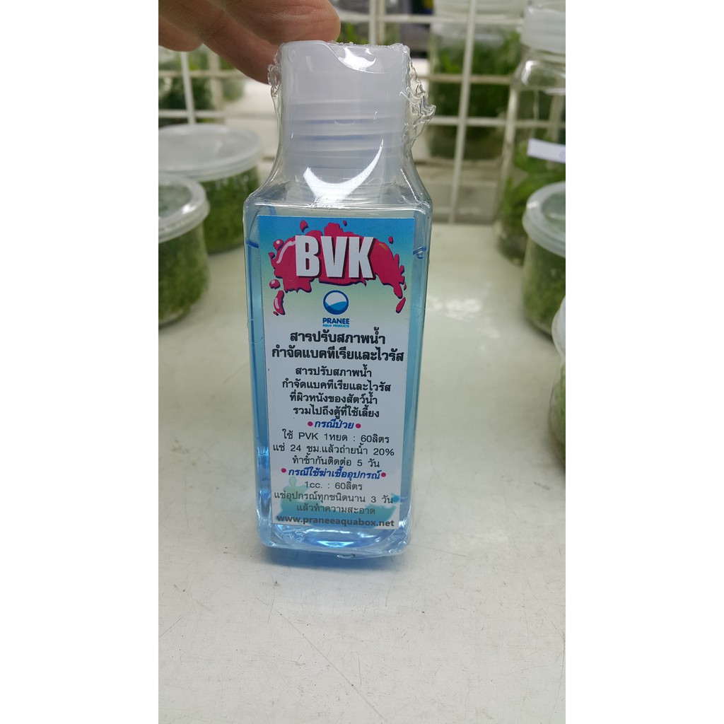bvk-ต้านไวรัสและแบคทีเรียในตู้ปลา