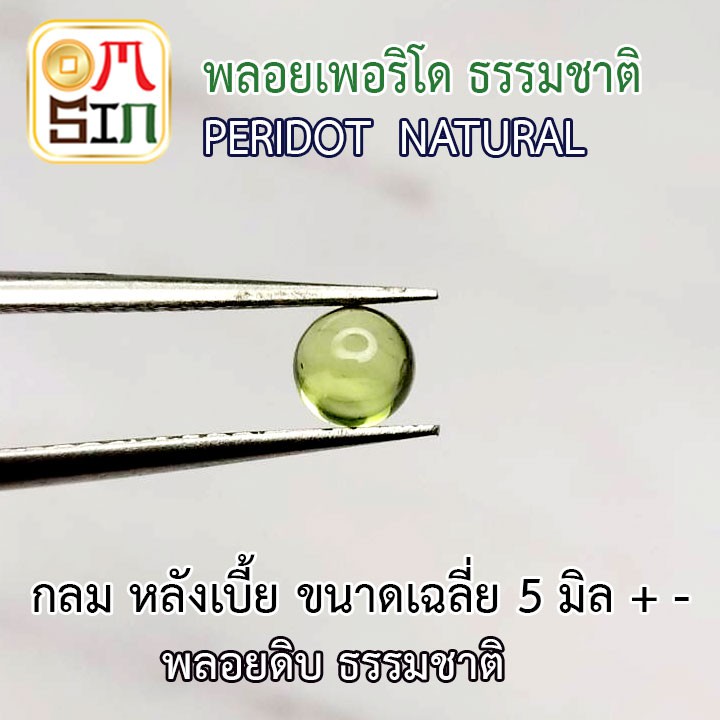 a189-omsin-เฉลี่ย-5-มิล-หลังเบี้ย-กลม-พลอยเพอริโด-peridot-สีเขียวอ่อน-พลอยสด-ไม่เผา-ธรรมชาติแท้