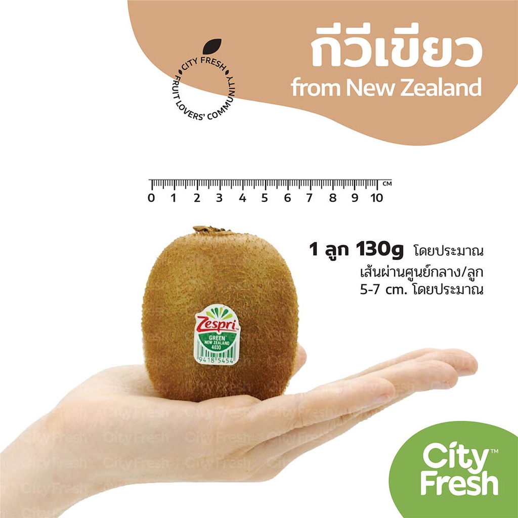 cityfresh-กีวีเขียว-zespri-green-kiwi-จากประเทศนิวซีแลนด์-ผลไม้นำเข้า-มีบริการบ่ม