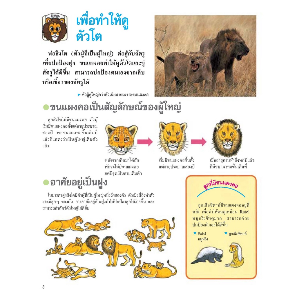 สารานุกรมรูปภาพสำหรับเด็ก-ปริศนาสัตว์