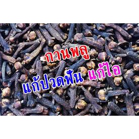 กานพลู-กานพลูเกรดa-ก้านพลู-ดอกกานพลู100กรัม-ราคา-77-บาท