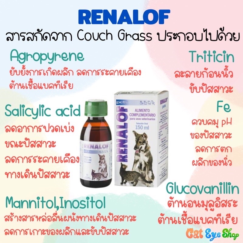 renalof-150-ml-วิตามินแมวและสุนัข-สำหรับโรคนิ่ว-ไต-และกระเพาะปัสสาวะอักเสบ