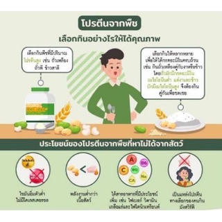 ภาพขนาดย่อของภาพหน้าปกสินค้าข้อเสนอพิเศษ NUTRILITE Soy Protein Drink นิวทรีไลท์ ขนาด 450g 900g จากร้าน itbykxffna บน Shopee ภาพที่ 5