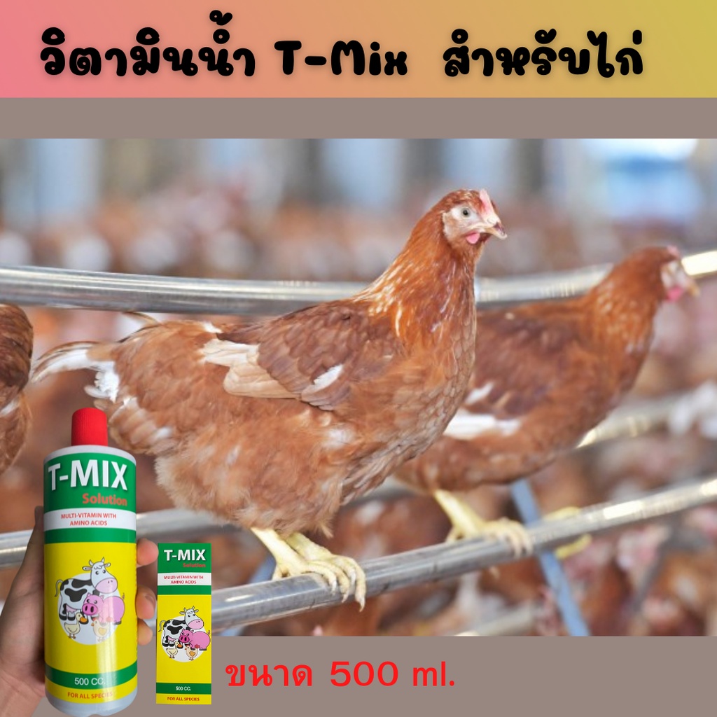 ขายดี-วิตามินไก่ไข่-วิตามินไก่ชน-วิตามินน้ำ-บำรุงรักษา-ลดความเครียดเพิ่มผลผลิต-วิตามินไก่-วิตามินผสมน้ำ