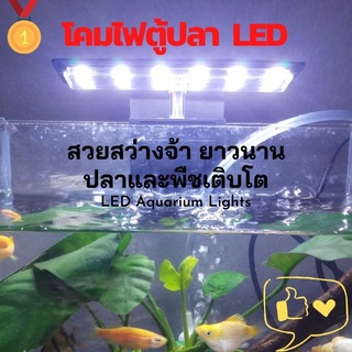 โคมไฟตู้ปลา โคมไฟตู้ไม้น้ำ โคมไฟในตู้ปลา โคมไฟ ตู้ปลา led โคมไฟตู้ปลา led โคมไฟ ตู้ปลา โคมไฟledตู้ปลา โคมไฟติดตู้ปลา โคม