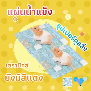 [hamstertravel] หนูแฮมสเตอร์เย็นลงฤดูร้อนสัตว์เลี้ยงลดอุณหภูมิแผ่นสัตว์เลี้ยงระบายความร้อนกระต่ายเย็นอลูมิเนียมแผ่นBB