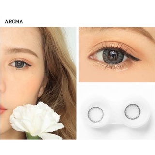 Aroma Gray สีเทา เทา ตัดขอบดำ โทนแบ๊ว ✨ Wink Lens ✨ Contact Lens Bigeyes คอนแทคเลนส์ ค่าสายตา สายตาสั้น แฟชั่น