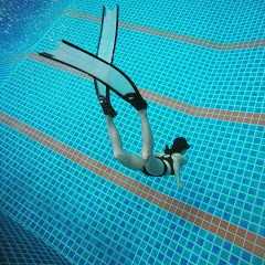 ภาพหน้าปกสินค้าSkin Diving Course คอร์สเรียนดำน้ำแบบตัวเปล่า