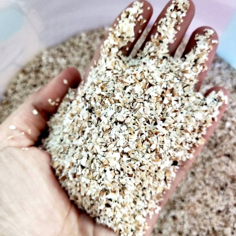 เปลือกไข่คั่วบด-ละเอียด-ไซส์-s-250g-พืชดูซึมสารอาหารได้ง่าย