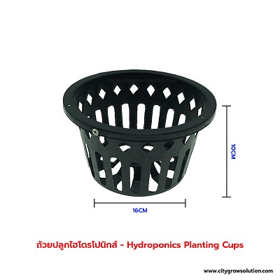 ถังปลูกไฮโดรโปนิกส์-รางปลูกผักอัตโนมัติ-dwc-hydroponics-20l