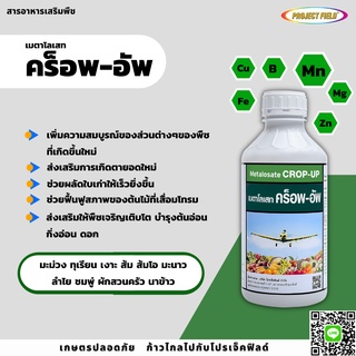 เมตาโลเสทคร็อพ-อัพ Metalosate crop-up ปุ๋ยน้ำ ข้าว ไม้ผล พืชไร่ ผักสวนครัว ไม้ดอกไม้ประดับ ดอกร่วง ผลร่วง ขนาด 500 มล.