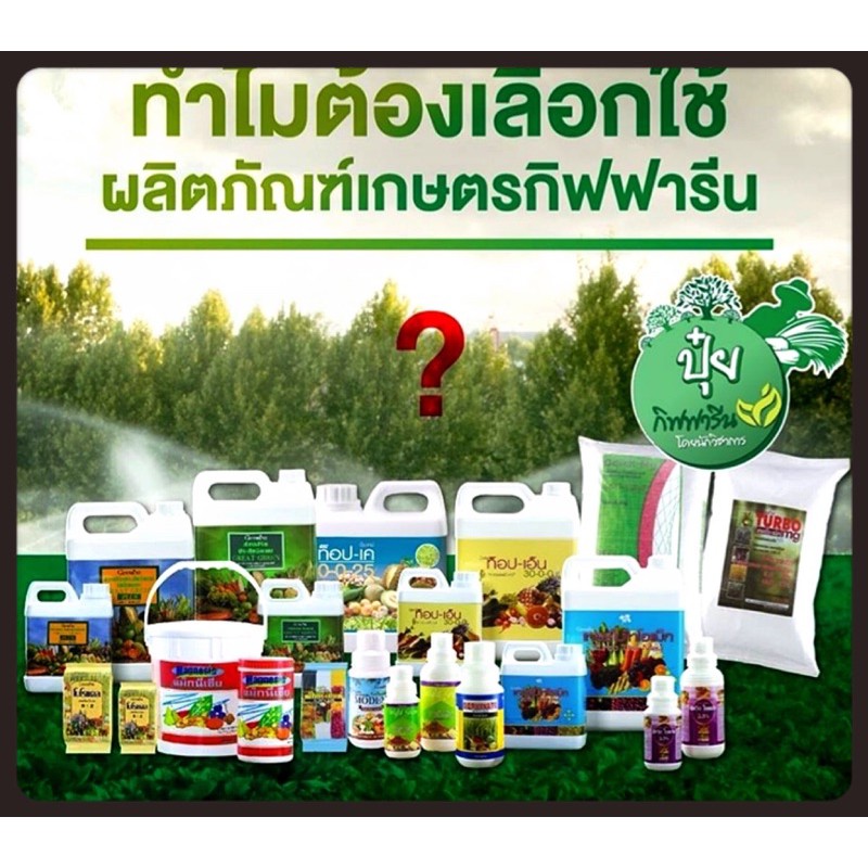 ส่งฟรี-ปุ๋ยกิฟฟารีน-ปุ๋ยเกล็ด-โกรแม็กซ์-อาหารหลัก-grow-max-n-p-k-ปุ๋ยนำเข้าอิสราเอล-ลดต้นทุน-เพิ่มผลผลิต