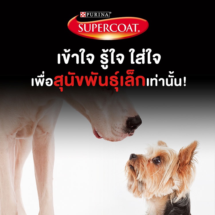 เกี่ยวกับสินค้า SUPERCOAT ซุปเปอร์โค้ท อาหารสุนัข แบบเม็ด สูตรสุนัขโต รสเนื้อวัว ถุง 10 กก.