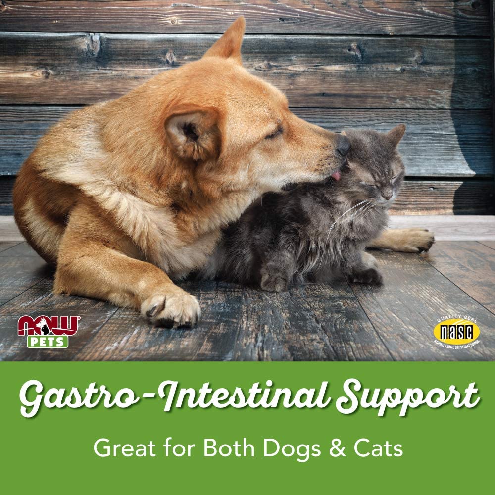 now-g-i-support-แก้ท้องเสีย-สำหรับแมวและสุนัข-ถ่ายเหลว-ปวดท้อง-ชนิดเม็ดเคี้ยว-90-เม็ด