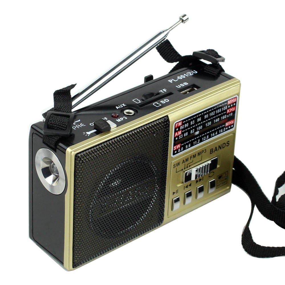 ภาพสินค้าPAE วิทยุ AM/FM รุ่น PL-0012U มีไฟฉาย (คละสี) จากร้าน grabnlife บน Shopee ภาพที่ 2