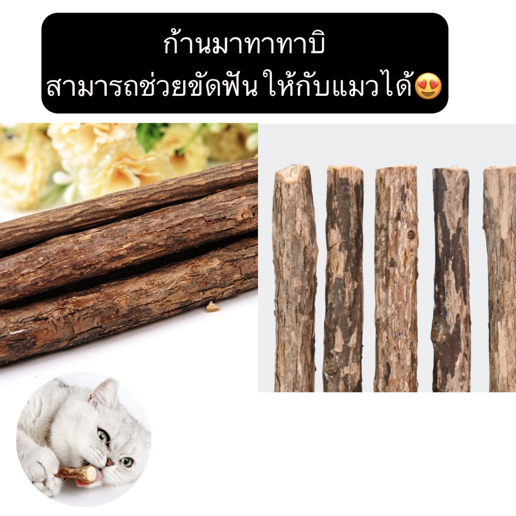 al-367-ไม้มาทาทาบิ-ขัดฟันสัตว์เลี้ยง-แมว-ไม้ขัดฟันแมว-ขนมแมว-ลดคราบหินปูน-ราคาถูก-พร้อมส่ง