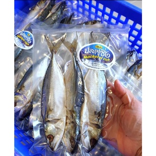 สินค้า ปลาทูซิ่ง บองนัว (ไม่ใช่ปลาทูมัน ไม่ใช่ปลาทูเค็ม) แพค 3ตัว (มีอย.)