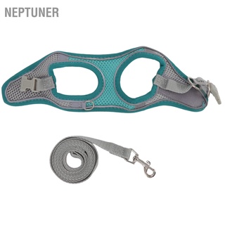 Neptuner เสื้อกั๊กสะท้อนแสง ระบายอากาศ สําหรับสัตว์เลี้ยง สุนัข แมว ขนาดเล็ก