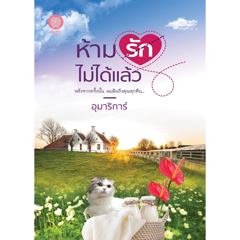 หนังสือนิยาย-ห้ามรักไม่ได้แล้ว