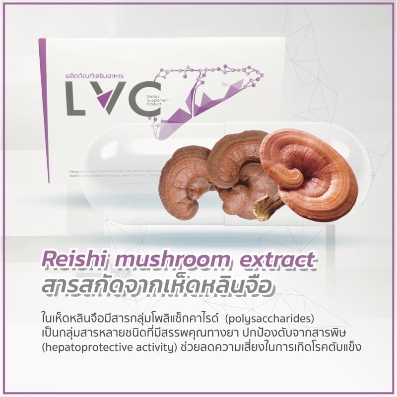 อาหารเสริมบำรุงตับ-lvc-สารสกัดจากเห็ดหลินจือ