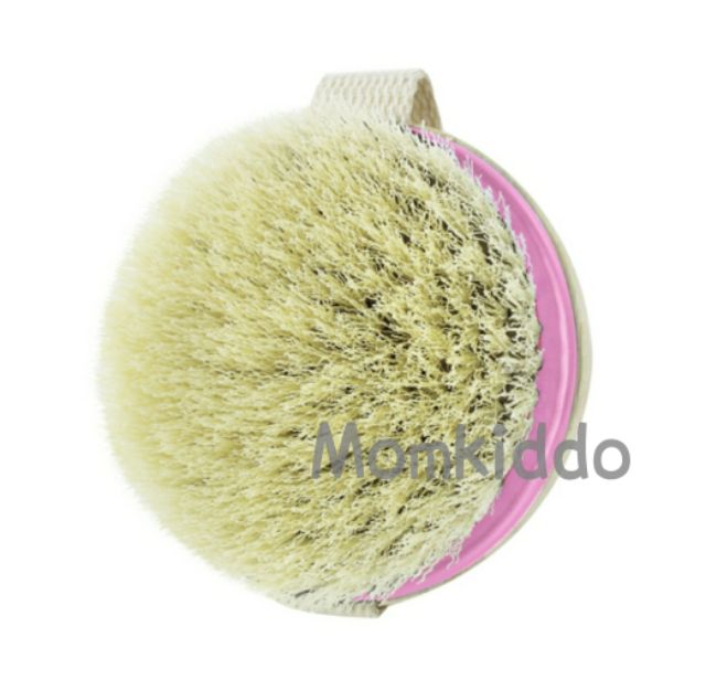 ค่าส่งถูก-sale-แปรงลดเซลลูไลท์-ecotools-dry-brush-แปรงขัดผิว-แปรงขัดตัว