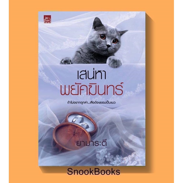 นิยาย-เสน่หาพยัคฆินทร์-โดย-ยามาระตี-ในซีล