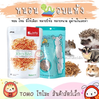 สินค้า ร้านโทโมะ 💕 หนอนอบ จอลลี่ เจอร์รี่ Jolly และ Jerry หนอนแว๊กซ์ จิ้งหรีด ดักแด้ หนอนนก แมลง เม่นแคระ แฮมสเตอร์ ชูการ์