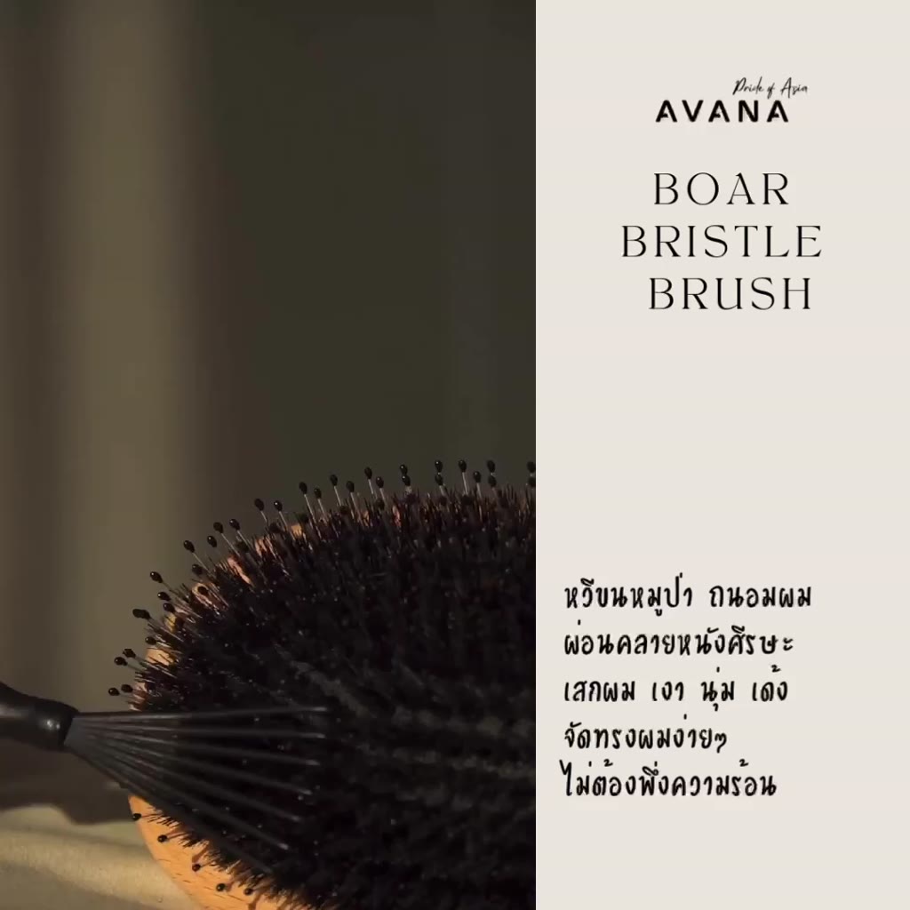 avana-premium-boar-bristle-brush-หวีขนหมูป่า-ผมเงางาม-นุ่มเด้ง-ในพริบตา