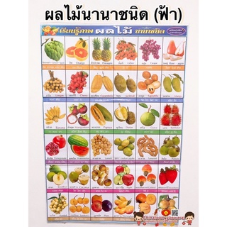 โปสเตอร์ ผลไม้นานาชนิด ผลไม้ 🌈โปสเตอร์สื่อการเรียนรู้ ก-ฮ สูตรคูณ ท่องจำ สอนเด็ก อนุบาล ชวนท่อง ภาษาไทย เตรียมอนุบาล