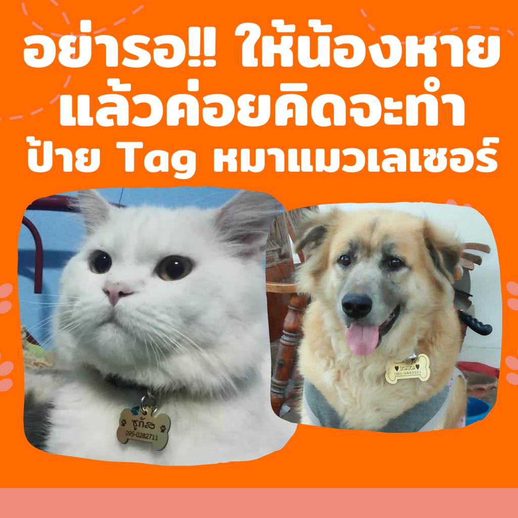 pet-tag-อะคริลิค-รายได้ให้แมวจร-อคิลิก-ป้ายชื่อน้องแมว-น้องหมาราคาถูก