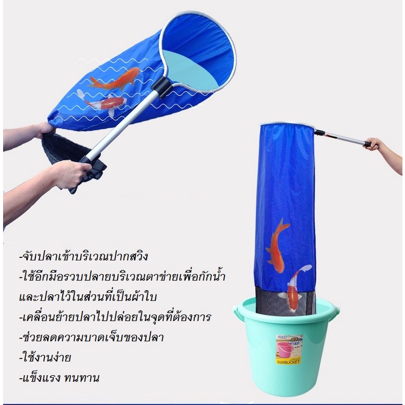 ภาพสินค้าKOI SOCK สวิงจับปลาคาร์พ,ปลามังกร และปลาขนาดใหญ่(เพื่อเคลื่อนย้ายปลา ปลายตาข่ายเปิดได้ ด้ามเป็นอลูมิเนียม แข็งแรงทนทาน) จากร้าน smilepetshop บน Shopee ภาพที่ 3