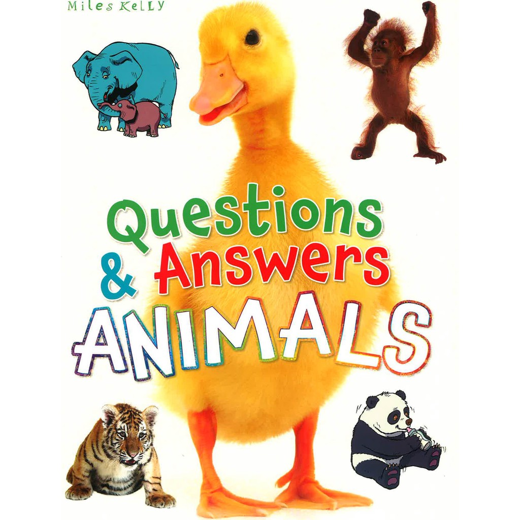 Questions And Answers Animals หนังสือเด็ก ภาษาอังกฤษ ถาม-ตอบ เรื่องราว ...