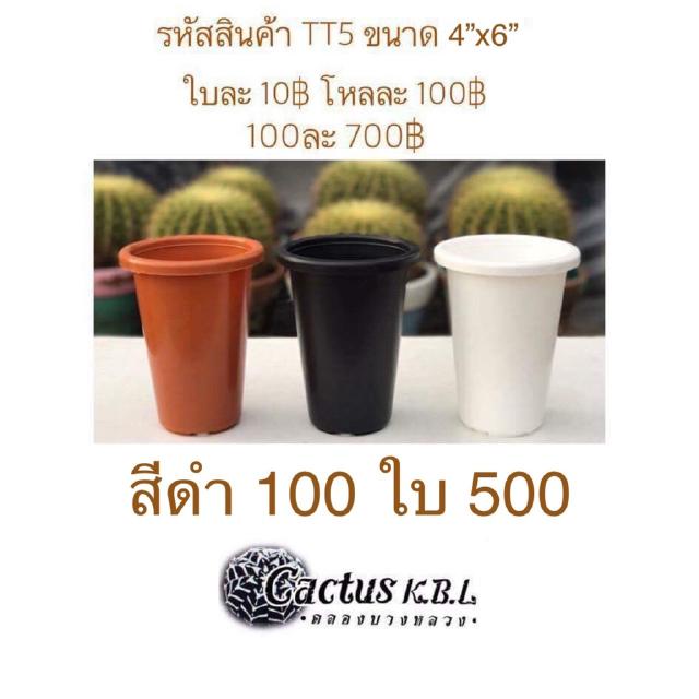 TT5 กระถางต้นไม้แคคตัส มี 3 สีให้เลือก ขนาด 4 x 6 นิ้ว 100 ใบ