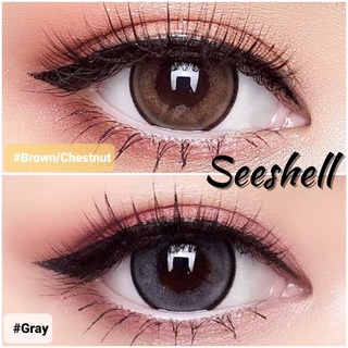 ✨ Wink :  Seeshell สาตาปกติ ถึง -6.50 ตาโต แบ๊ว Bigeye