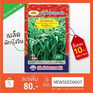 สินค้า เมล็ดผักบุ้งจีนใบไผ่คัดพิเศษ