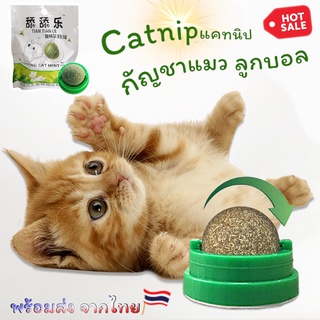 ของเล่นสำหรับน้องแมว Catnip แคทนิป ลูกบอลกัญชาแมว หมุ่นได้ ติดผนัง ไม่หล่นหาย น้องแมวชอบ