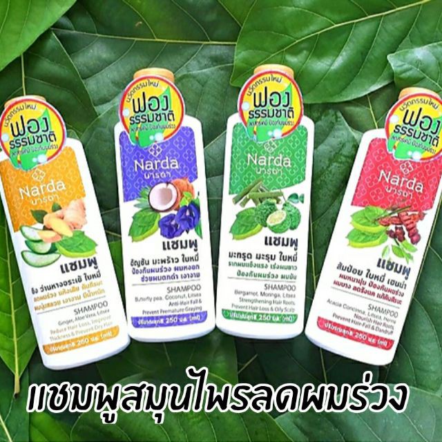 narda-herbal-shampoo-conditioner-250ml-นารดา-แชมพู-ครีมนวด-สมุนไพร-นารดา-250มล