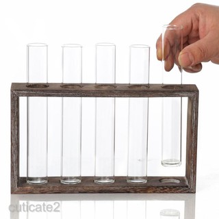 [CUTICATE2] Glass Test Tube Vase in Wooden Stand Flower Pots for Hydroponic Planter