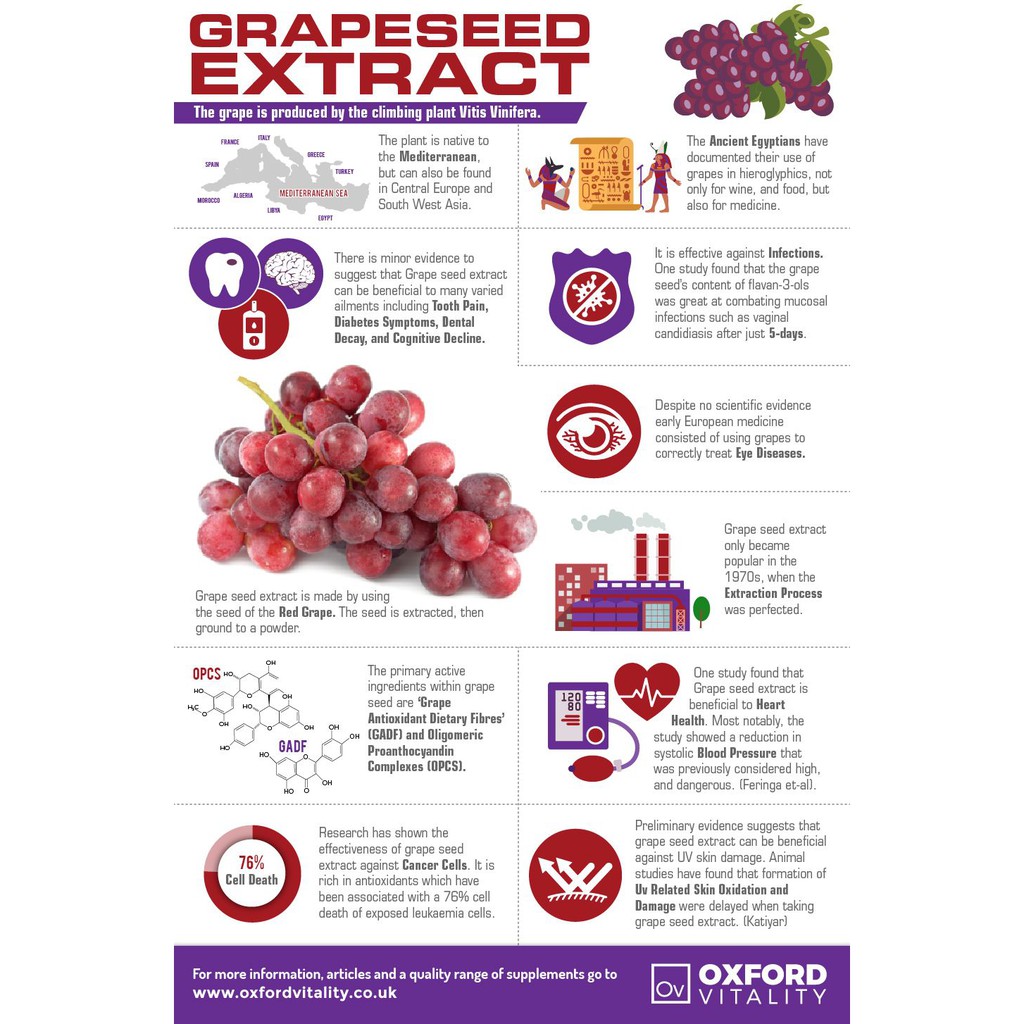 ภาพสินค้าPuritan's Pride Grapeseed Extract 100 mg. 200 เม็ด grape seed อุดมไปด้วยวิตามิน A สารต้านอนุมูลอิสระมากมาย จากอเมริกาค่ะ จากร้าน super_vita บน Shopee ภาพที่ 3