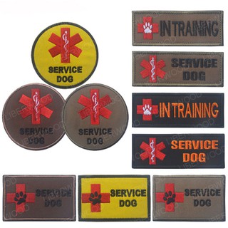 Service Dog patch In Training ACU EMS Medic Paramedic Star of Life Vests/Harnesses Emblem Fastener Hook &amp; Loop Patch