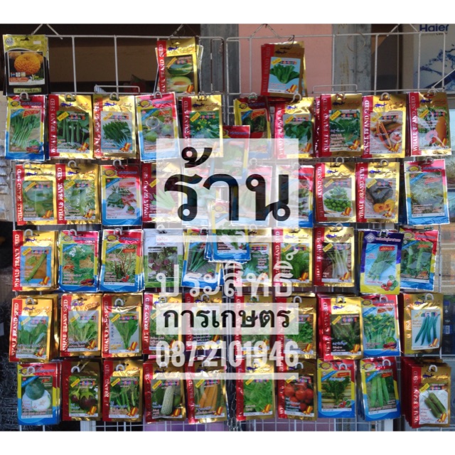 ภาพหน้าปกสินค้าเมล็ดพันธุ์ผัก (กินใบ,ยอด) 10 แถม 1ซอง ยี่ห้อ เจียไต๋, ศรแดง, ปลาวาฬ, AAA ,333 เมล็ดผัก