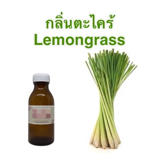 หัวน้ำหอมกลิ่นตะไคร้ Lemon grass