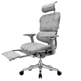 DF Prochair | เก้าอี้เพื่อสุขภาพ รุ่น Ergo3 Plus ZB7