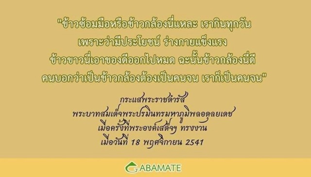 bb011501-ll-ส่งฟรี-มีของแถมม-ปรึกษาฟรี-ปัญหาสุขภาพ-gabamate-กาบาเมท