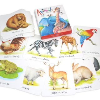Flashcard แฟลชการ์ด บัตรภาพสัตว์โลกเพื่อนรัก (Animals)